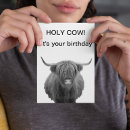 Suche nach hochländer karten Kuh