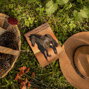 Suche nach pferde postkarten Schön