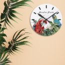 Suche nach macaw Parrot