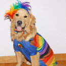 Suche nach seien sie karten Regenbogen