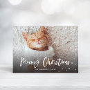 Suche nach cat christmas karten Weihnachten