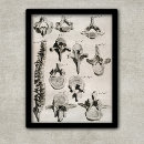 Suche nach medizinisches diagramm poster Antik