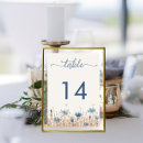Suche nach hochsommer Blume