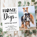 Suche nach moderne hunde einladungen Adressenänderung