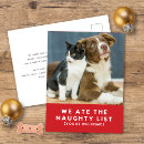 Suche nach funny holiday postkarten Haustier