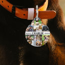 Suche nach collage hundezubehör Dogs