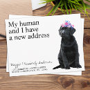 Suche nach new address postkarten Adressenwechsel