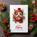Suche nach yorkie christmas karten Yorkshire terrier