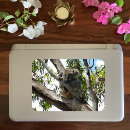 Suche nach koala aufkleber Koalgebär