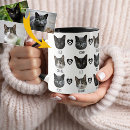 Suche nach drei tiere tassen Katze