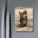 Suche nach affen magnete Kinder