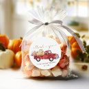 Suche nach lkw aufkleber Kürbispflaster