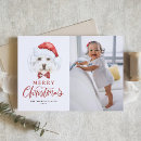 Suche nach maltese dog Frohe weihnachten