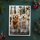 Suche nach hundebilder karten Weihnachtskarte