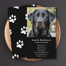 Suche nach dog walker visitenkarten Groomer