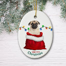 Suche nach niedlicher mops ornamente Tier