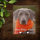 Suche nach haustiere puzzle Familienhund