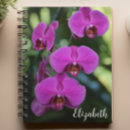 Suche nach orchidee kleine notizbücher Fotografie