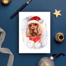 Suche nach englisch cocker spaniel postkarten Tiere