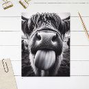 Suche nach weiß postkarten Rustikal