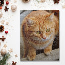 Suche nach haustier puzzle Katze