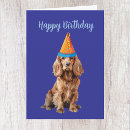 Suche nach cocker spaniel geburtstag karten Tier