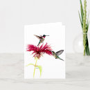 Suche nach kolibri kleine grußkarten Tierwelt