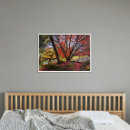 Suche nach baum blätter poster Naturfotografie