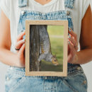 Suche nach eichhörnchen baum poster Nagetiere