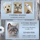 Suche nach tierklinik Foto