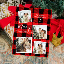 Suche nach büffel foto postkarten Family