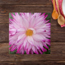 Suche nach rosa dahlie fliesen Botanisch