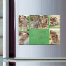 Suche nach fünf fotokarten Foto sammelkarten