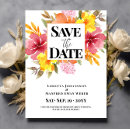 Suche nach frühlingsblüten postkarten Für sie/ihn