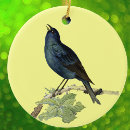 Suche nach gelber vogel ornamente Elegant