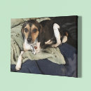 Suche nach beagle kunst Welpe