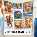 Suche nach foto decken Hundefreund