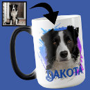 Suche nach lustige border collie tassen Welpe