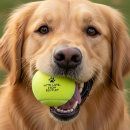 Suche nach lustige tennis bälle Für haustiere
