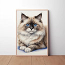 Suche nach niedliches katzenbild poster Lumpenkatze