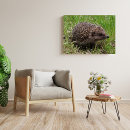Suche nach wildtiere poster Fotografie