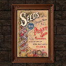 Suche nach seed poster Vintage