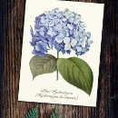 Suche nach vintage hydrangea postkarten Retro