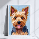 Suche nach yorkshire poster Terrier