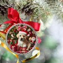 Suche nach labrador retriever ornamente Haustier
