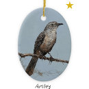 Suche nach spottdrossel ornamente Vogelvogel