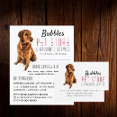 Suche nach der groomer der flyer Tierpflege