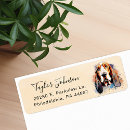Suche nach basset rücksende aufkleber Niedlich