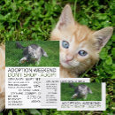 Suche nach katze flyer Tiere