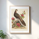 Suche nach vintager pfau poster Vogel